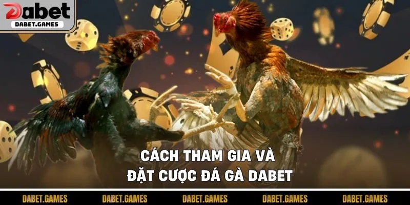 Đá Gà Dabet